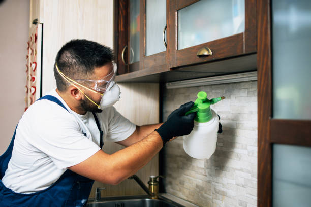 Best Best Pest Control Companies  in Summit View, WA