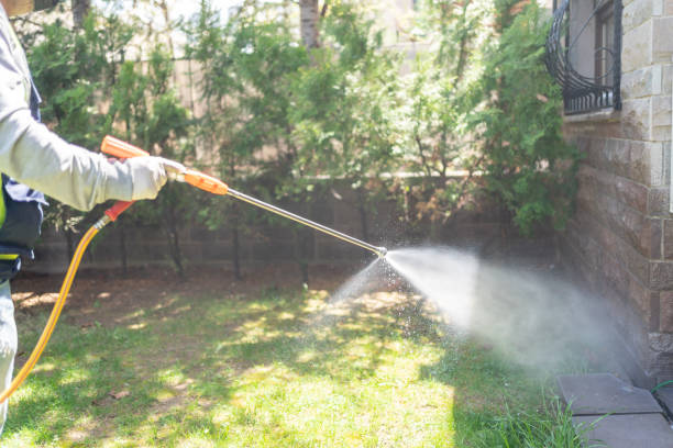 Flea Control Services in Summit View, WA