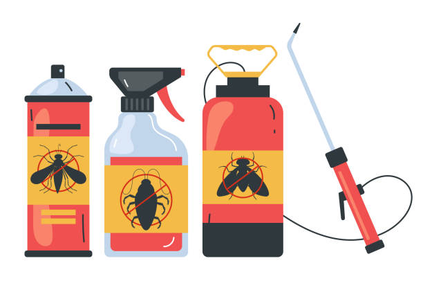 Best Bed Bug Extermination  in Summit View, WA