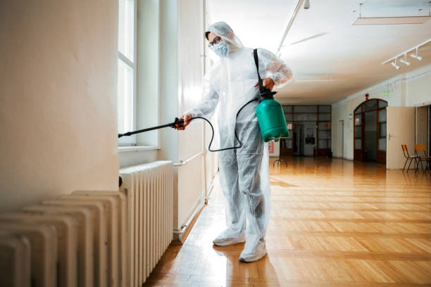 Best Rat Extermination Near Me  in Summit View, WA